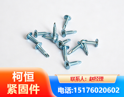鸡西华司钻尾丝