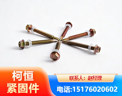 鸡西六角钻尾丝