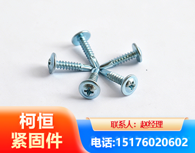 鸡西华司钻尾丝